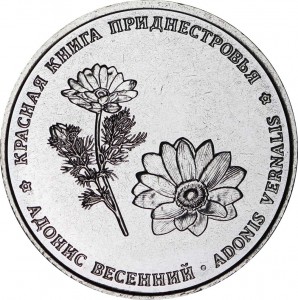 1 рубль 2021 Приднестровье, Адонис весенний