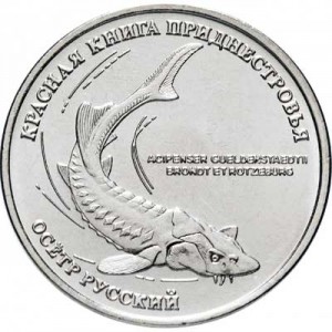 1 рубль 2018 Приднестровье, Осетр русский